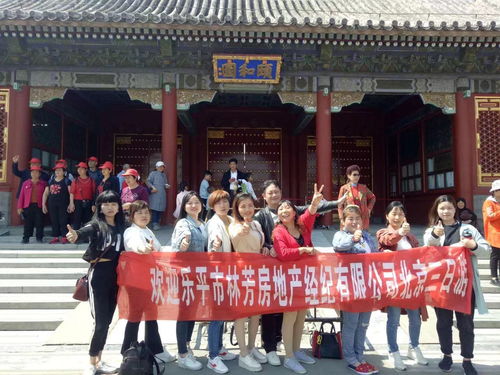 誠聘精英，共創輝煌 置業顧問與房地產信息咨詢專業人才招募